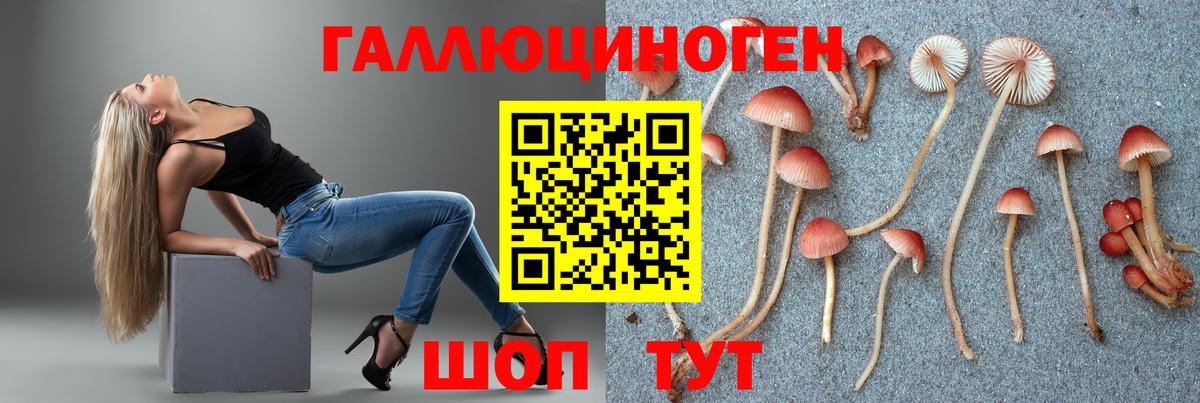 Советская Гавань  цена наркотик  Вход с VPN  Псилоцибиновые грибы GOLDEN TEACHER 