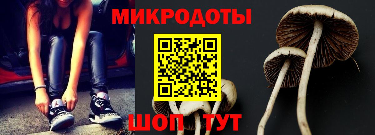 Псилоцибиновые грибы Psilocybine cubensis Советская Гавань